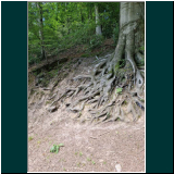 P1000699WhatsApp Image 2024-06-13 at 07.44.44.jpg